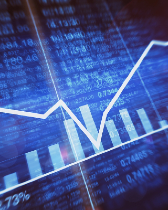 投資項目經(jīng)濟(jì)評價跟蹤